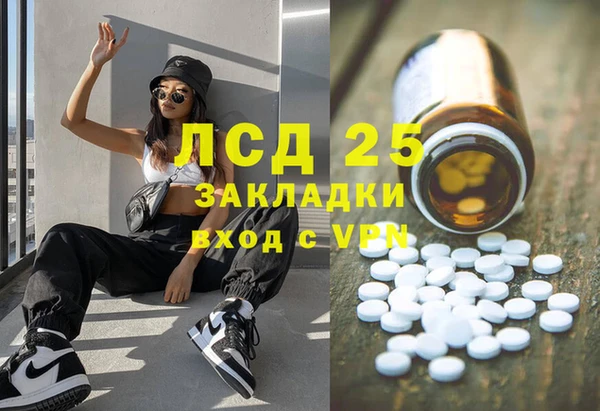 прущие грибы Алексин