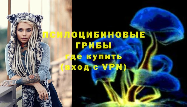 прущие грибы Алексин