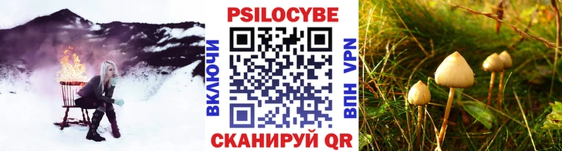 Галлюциногенные грибы мухоморы  магазин  наркотиков  Железногорск-Илимский 